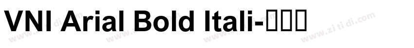 VNI Arial Bold Itali字体转换